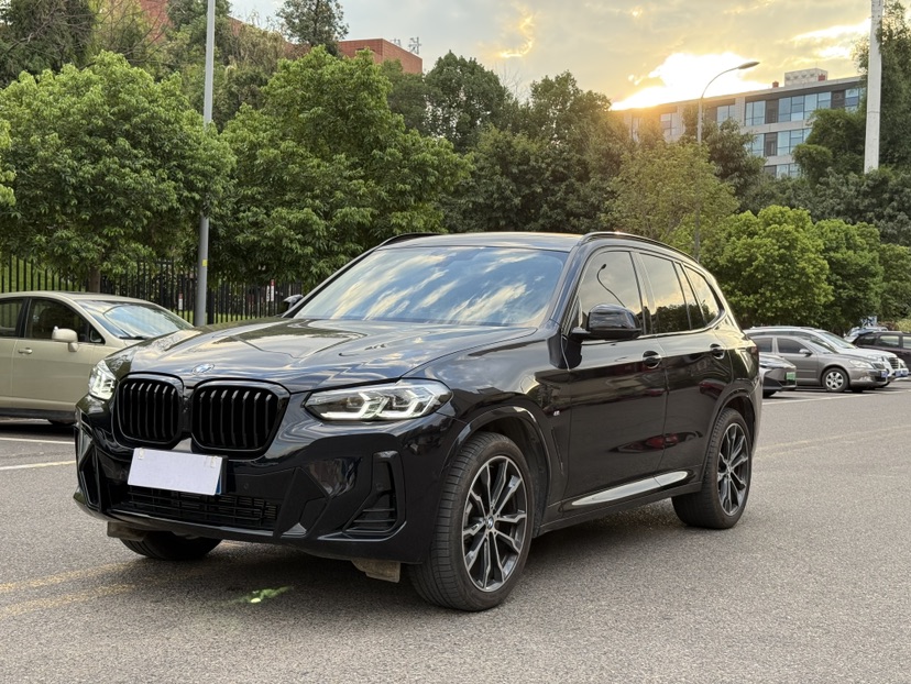 BMW X3 2024 image de voiture 