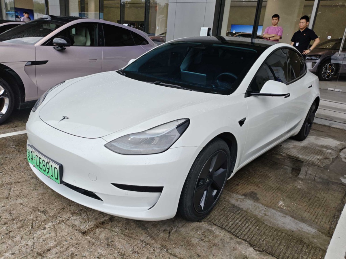 Tesla Model 3 2023 car image 