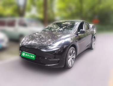 Tesla Model Y 2021 Tesla Model Y 2021 car image
