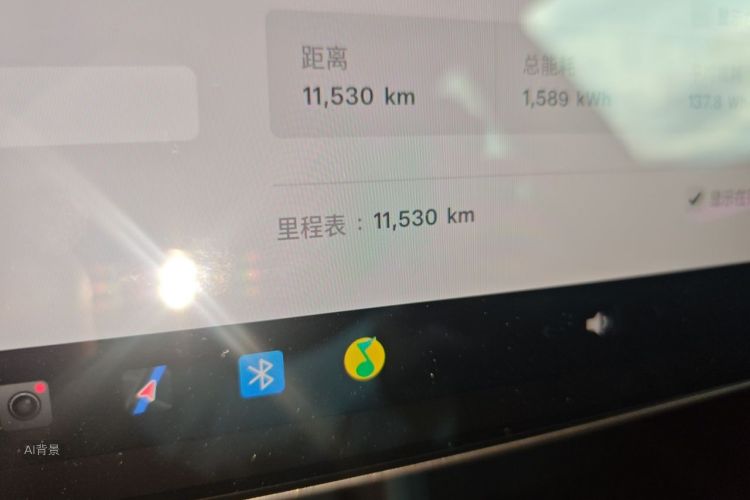 Tesla Model 3 2025 car image #14
