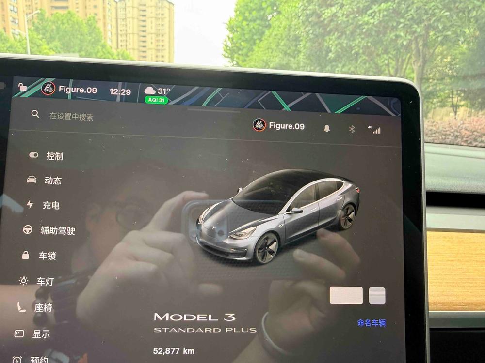 Tesla Model 3 2020 car image #6