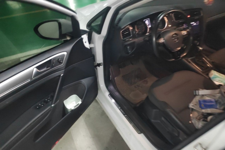 Volkswagen Golf 2019 #9 Volkswagen Golf 2019 car image #9
