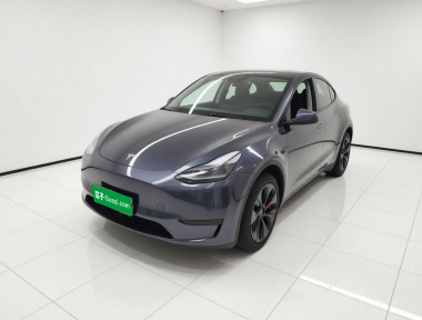 Tesla Model Y 2024 Tesla Model Y 2024 car image