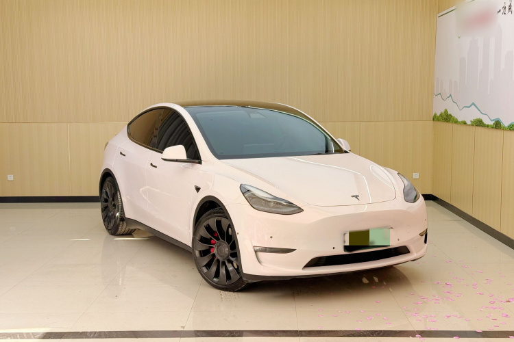 Tesla Model Y 2021 car image #6