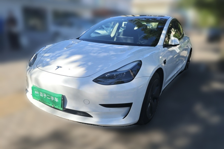 Tesla Model 3 2022 #2 Tesla Model 3 2022 car image #2