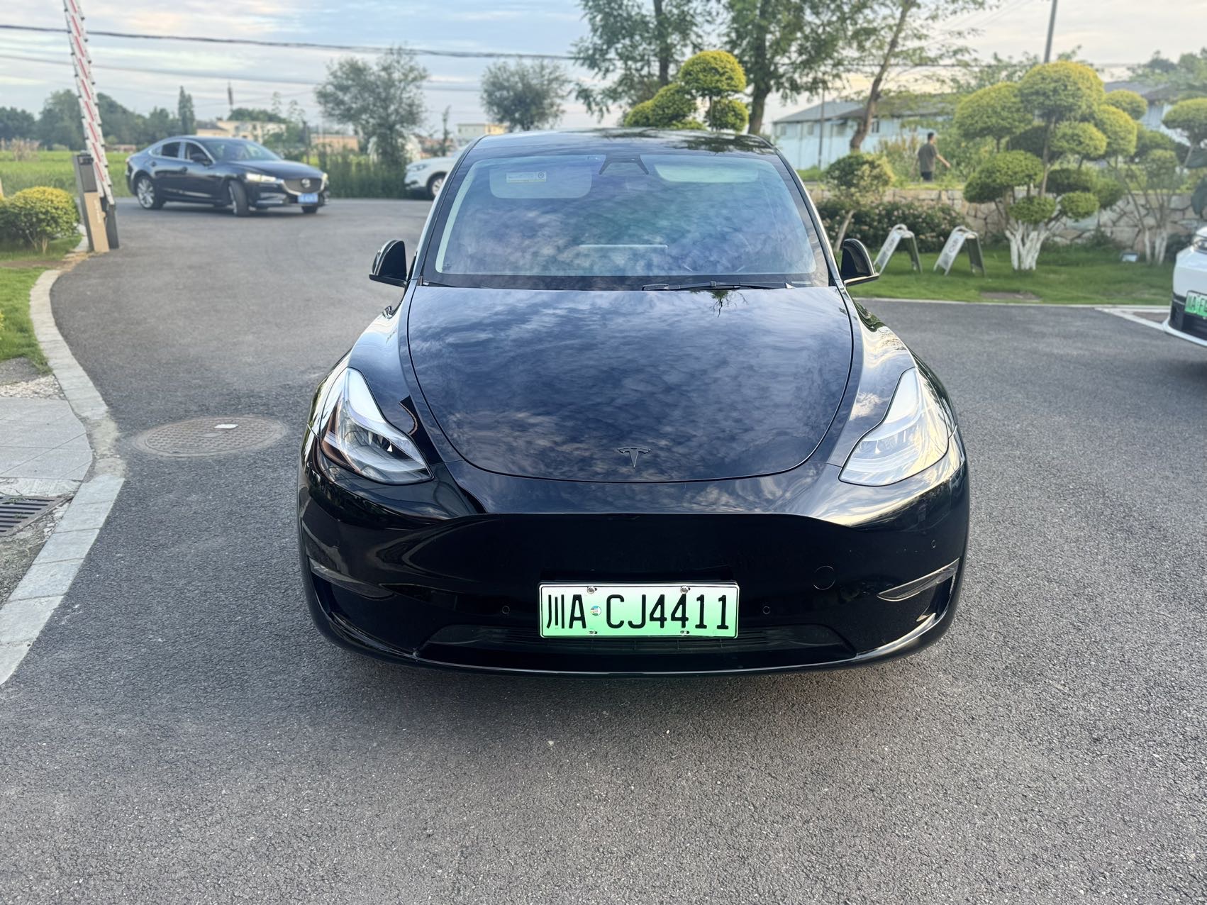Tesla Model Y 2021 car image #2