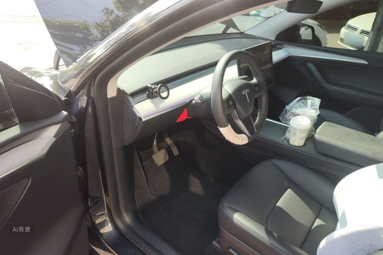 Tesla Model Y 2024 car image #18
