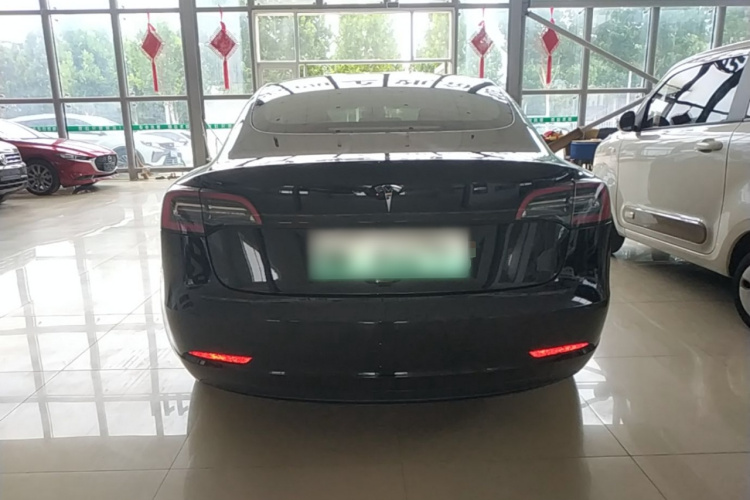 Tesla Model 3 2022 #6 Tesla Model 3 2022 car image #6