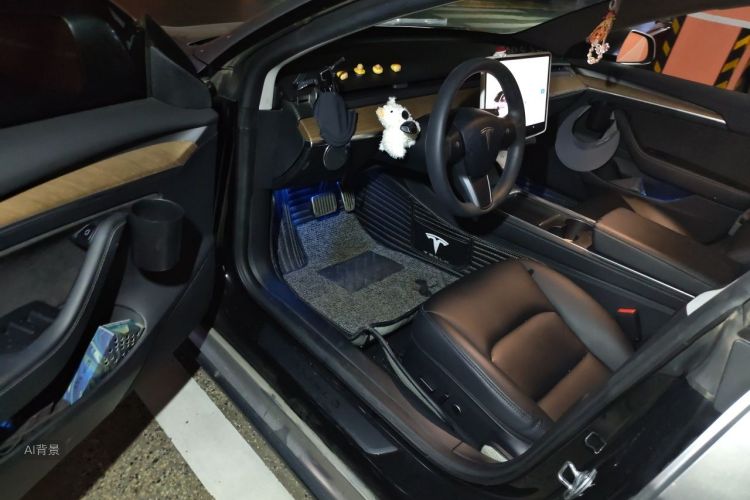 Tesla Model 3 2021 #18 Tesla Model 3 2021 car image #18