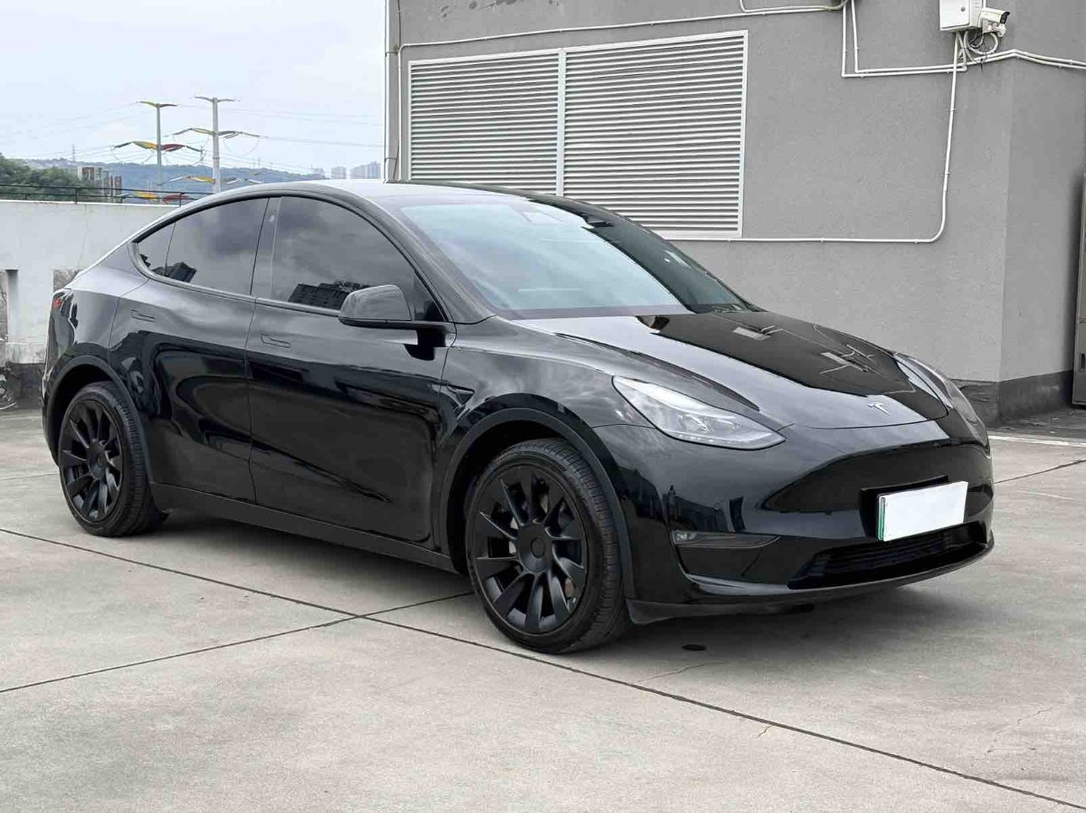 Tesla Model Y 2022 #2 Tesla Model Y 2022 car image #2