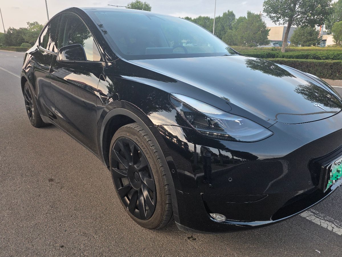 Tesla Model Y 2022 car image #2