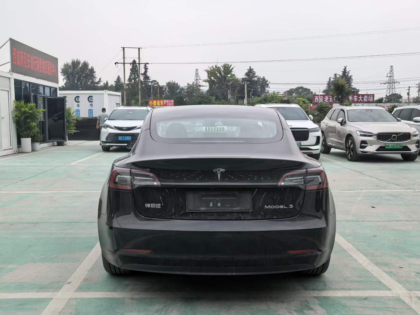 Tesla Model 3 2020 car image #7