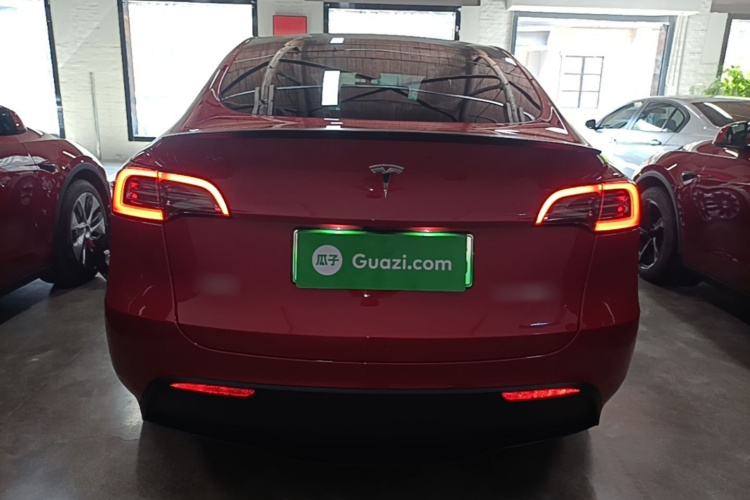Tesla Model Y 2021 car image #6