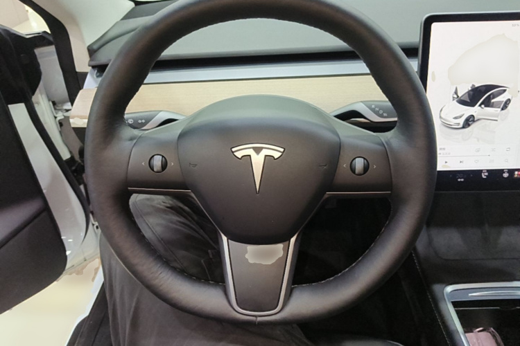 Tesla Model 3 2022 #15 Tesla Model 3 2022 immagine di auto #15