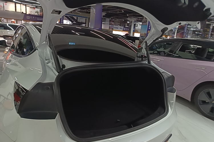 Tesla Model 3 2024 immagine di auto #19