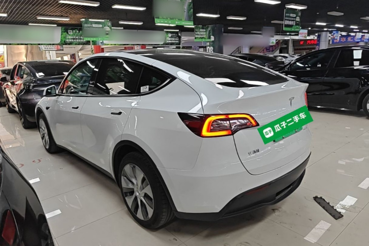 Tesla Model Y 2021 #5 Tesla Model Y 2021 car image #5