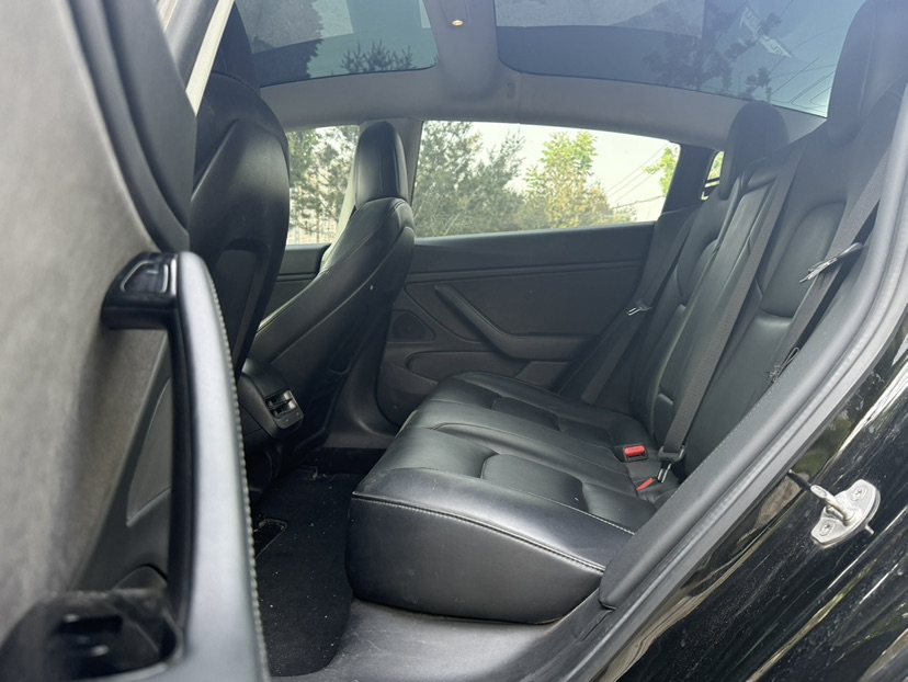 Tesla Model 3 (Imported) 2019 car image #6