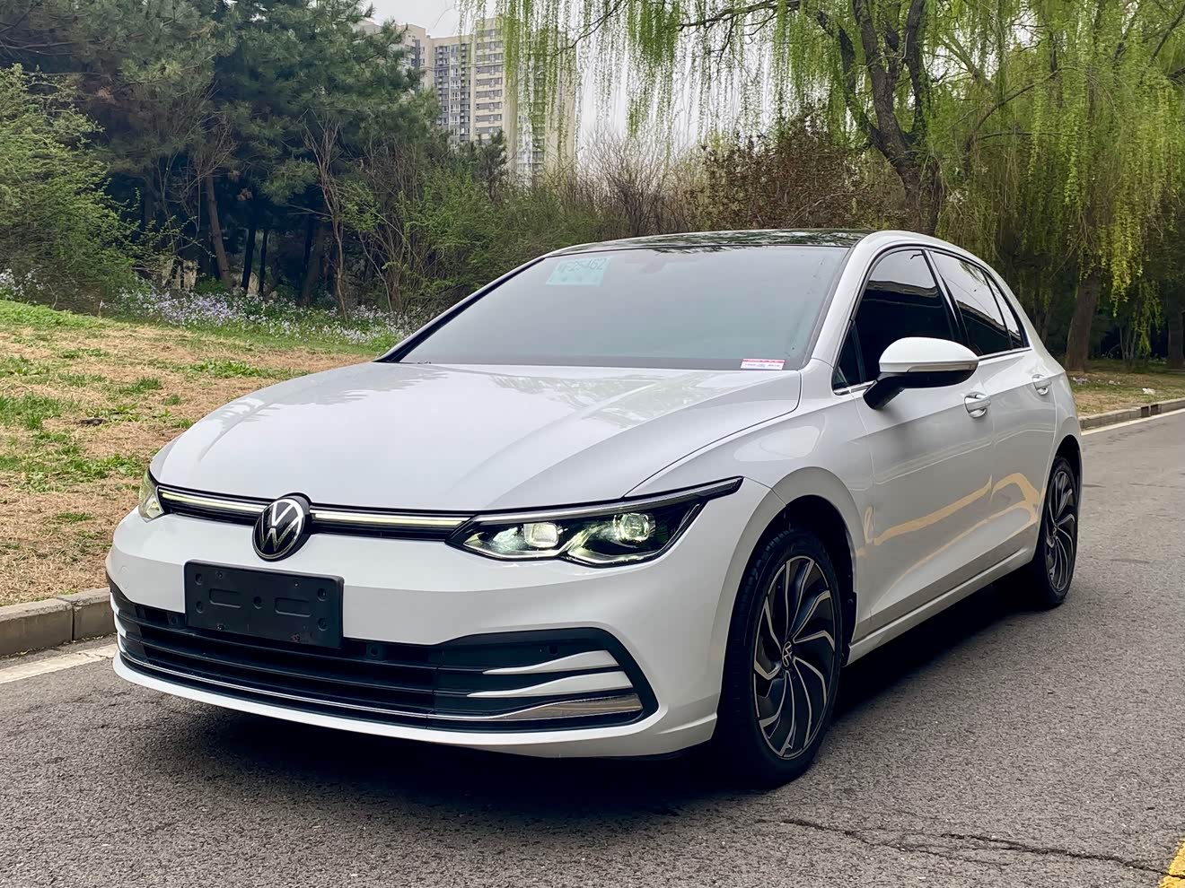 Volkswagen Golf 2021 car image 