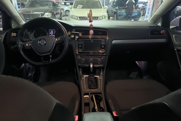Volkswagen Golf 2018 car image #11
