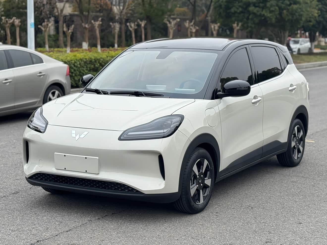 Wuling Binguo PLUS 2025 汽车图片 