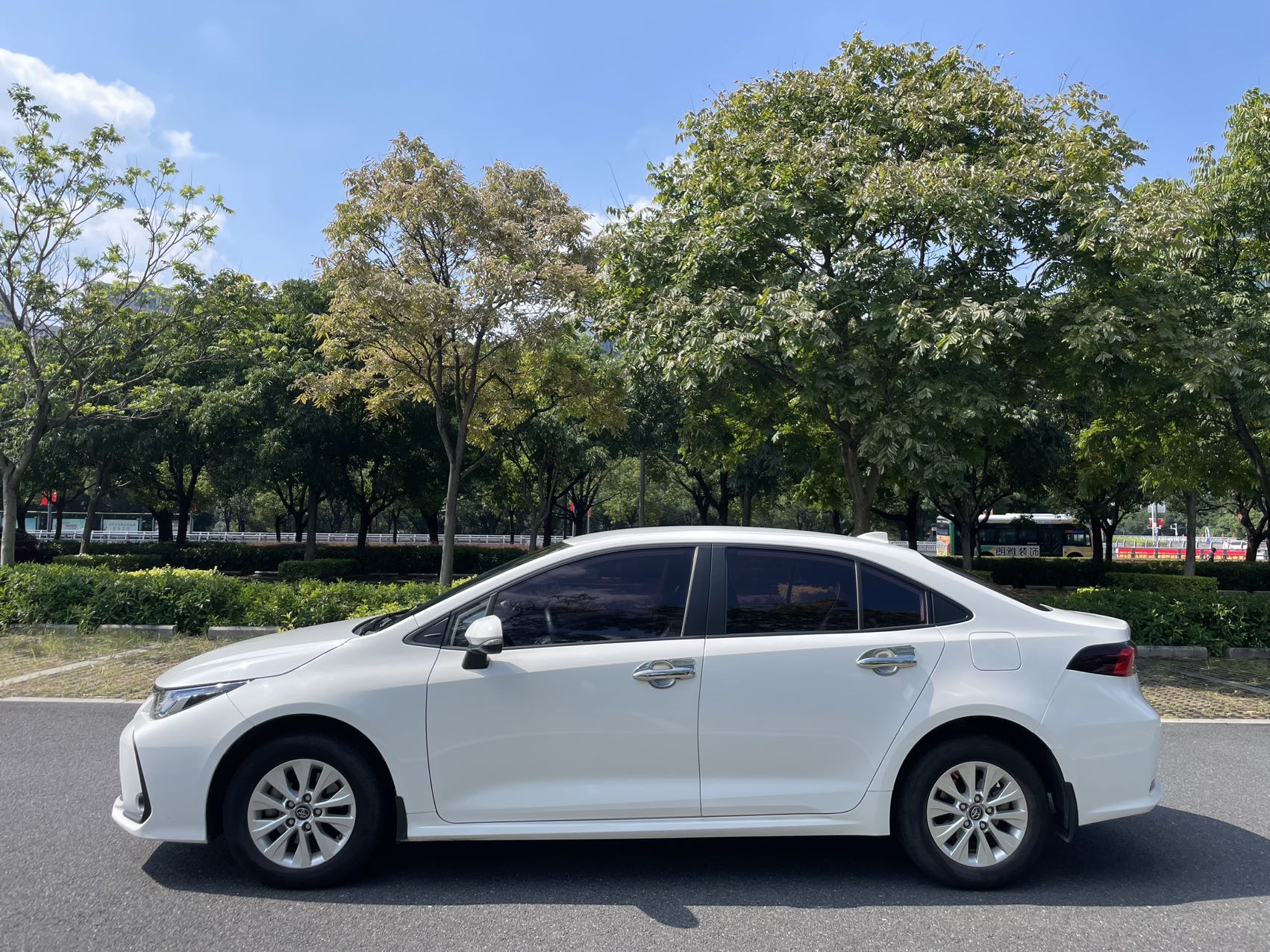 Toyota Corolla 2020 car image #10