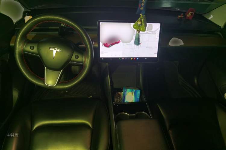 Tesla Model 3 2020 car image #11