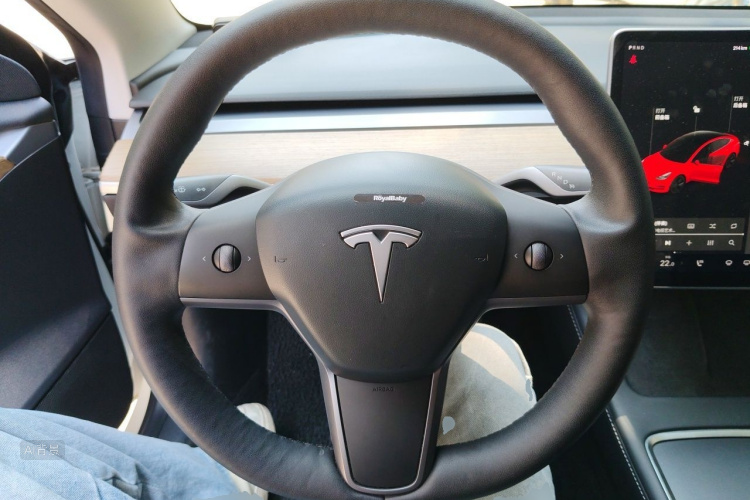 Tesla Model 3 2021 #12 Tesla Model 3 2021 car image #12