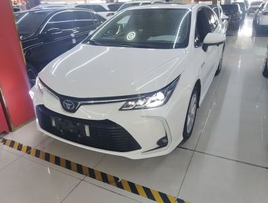 Toyota Corolla 2022 Toyota Corolla 2022 car image