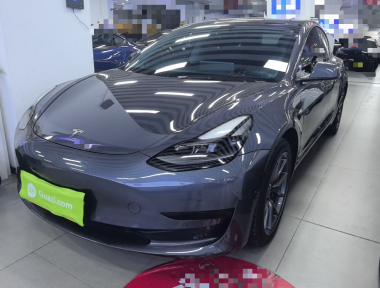 Tesla Model 3 2021 car image 