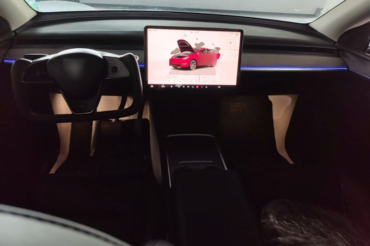 Tesla Model Y 2023 #10 Tesla Model Y 2023 car image #10