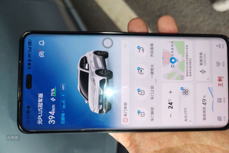 BYD Yuan Plus 2023 car image #10