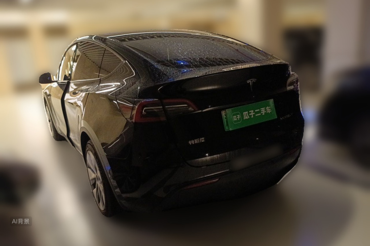 Tesla Model Y 2021 car image #5