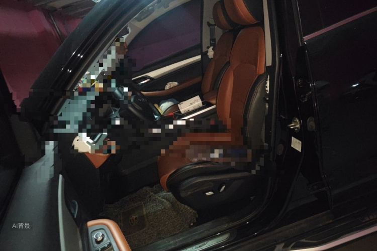 GEELY Vision X6 2020 car image #17
