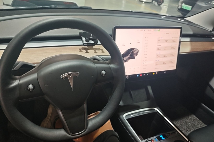 Tesla Model 3 2021 #10 Tesla Model 3 2021 car image #10