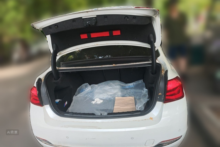 BMW 3 Series 2017 car image #21