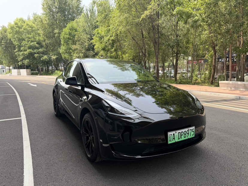 Tesla Model Y 2023 #3 Tesla Model Y 2023 car image #3