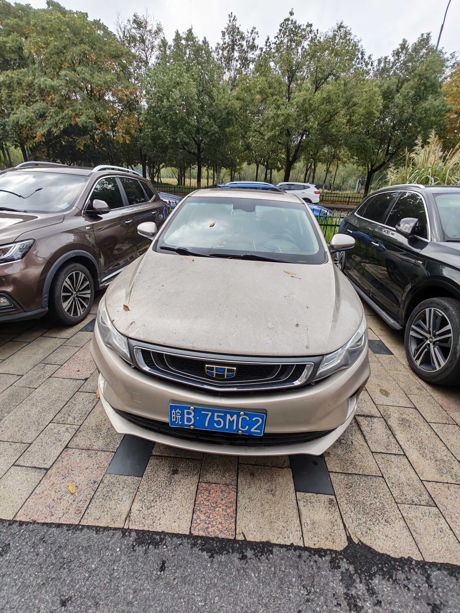 GEELY Emgrand GL 2018 car image #13