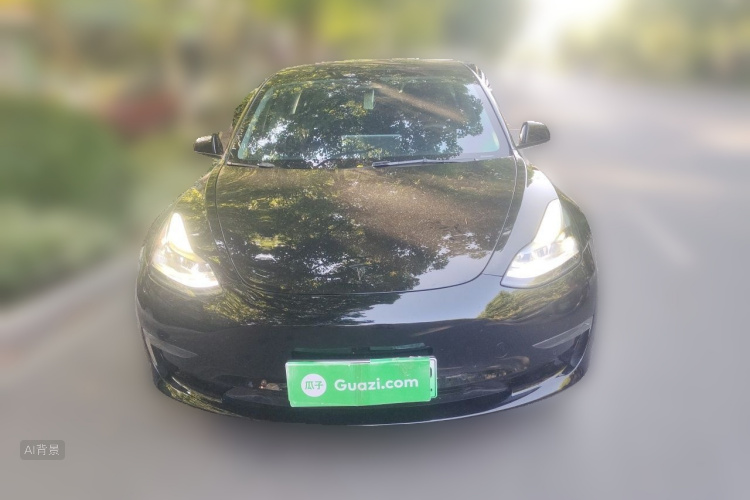 Tesla Model 3 2022 #3 Tesla Model 3 2022 car image #3