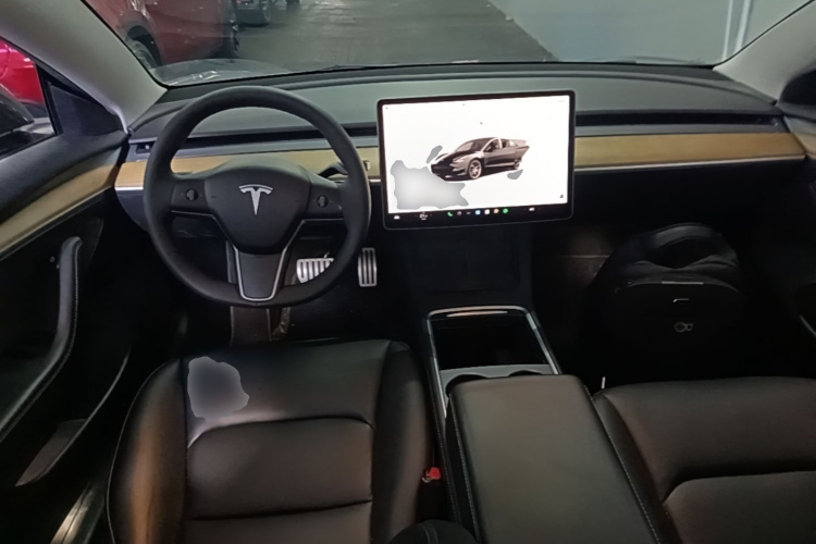 Tesla Model 3 2022 car image #10