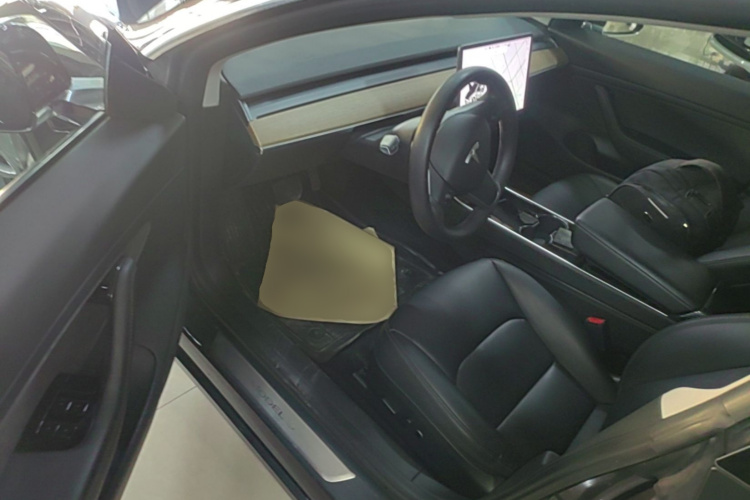 Tesla Model 3 2020 car image #12