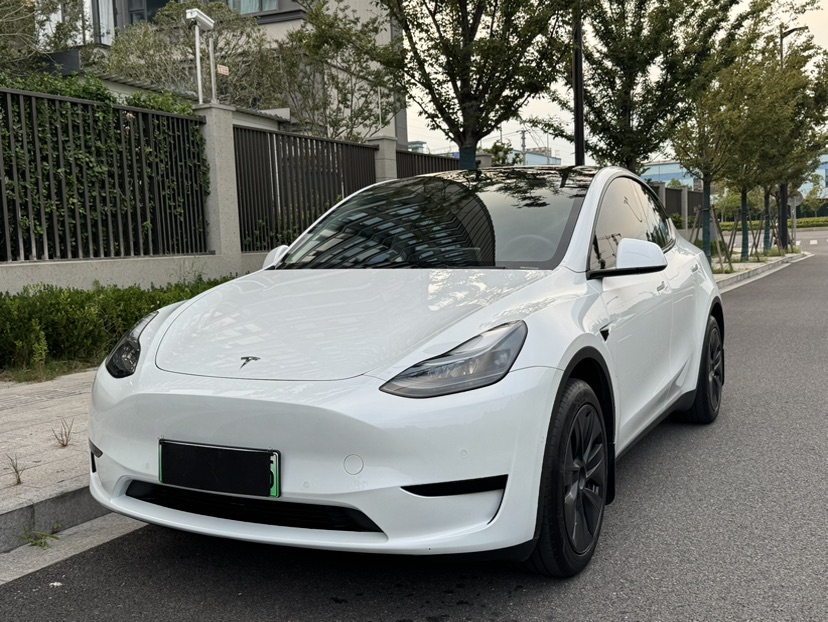 Tesla Model Y 2024 car image 
