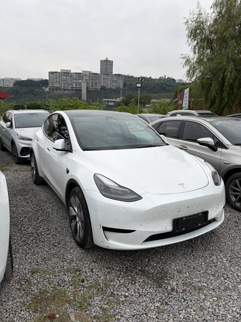 Tesla Model Y 2022 car image #3