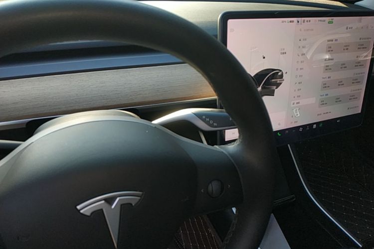 Tesla Model 3 2020 immagine di auto #14