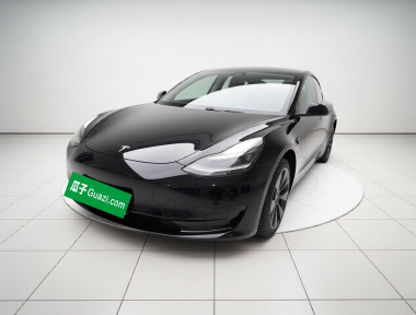Tesla Model 3 2021 Tesla Model 3 2021 immagine di auto