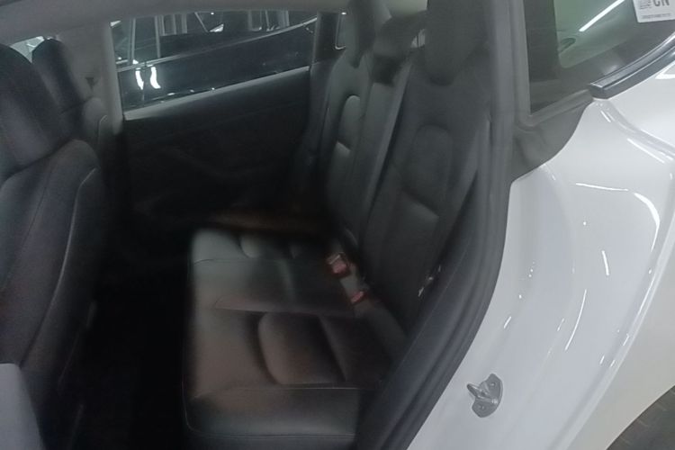 Tesla Model 3 2021 #17 Tesla Model 3 2021 car image #17