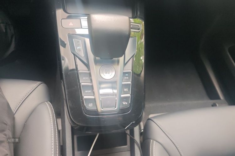 BYD Yuan New Energy 2019 car image #16