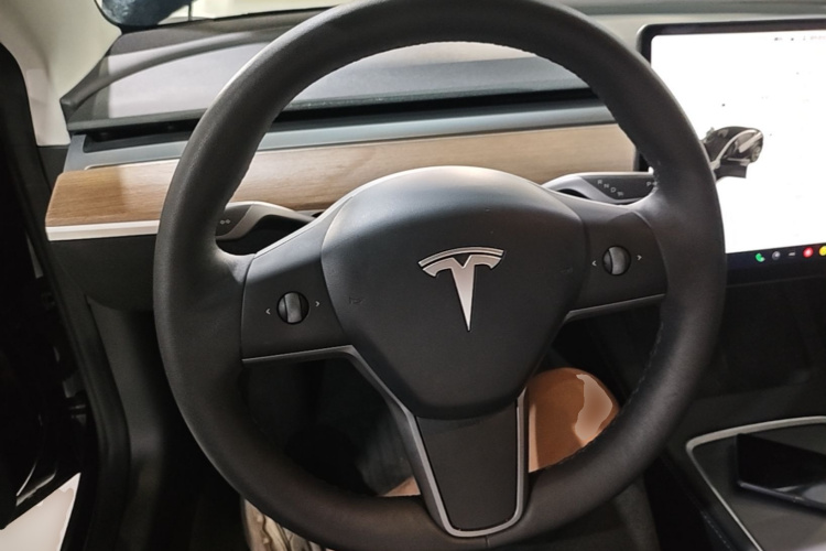 Tesla Model 3 2021 #15 Tesla Model 3 2021 car image #15