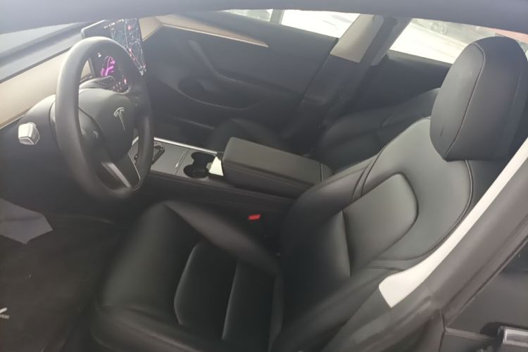 Tesla Model 3 2021 #19 Tesla Model 3 2021 car image #19