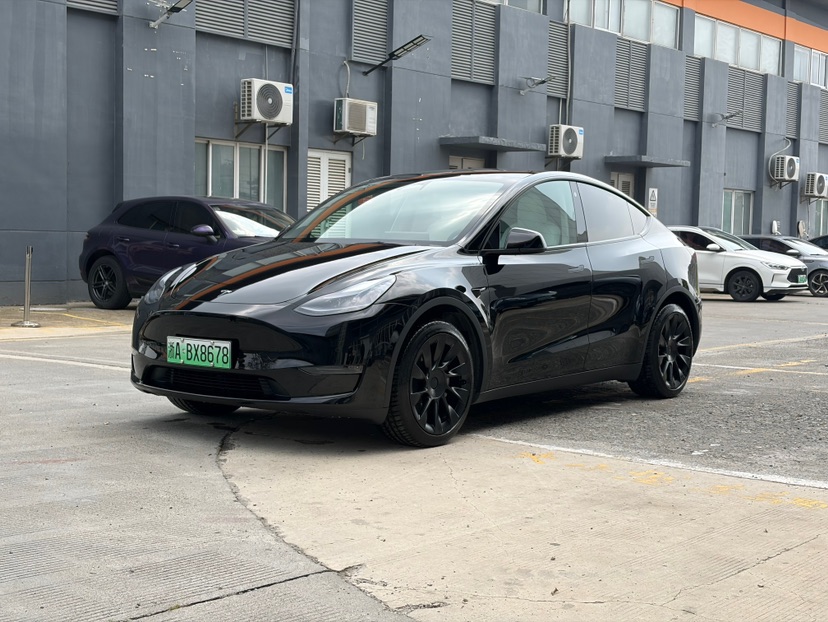 Tesla Model Y 2023 car image 