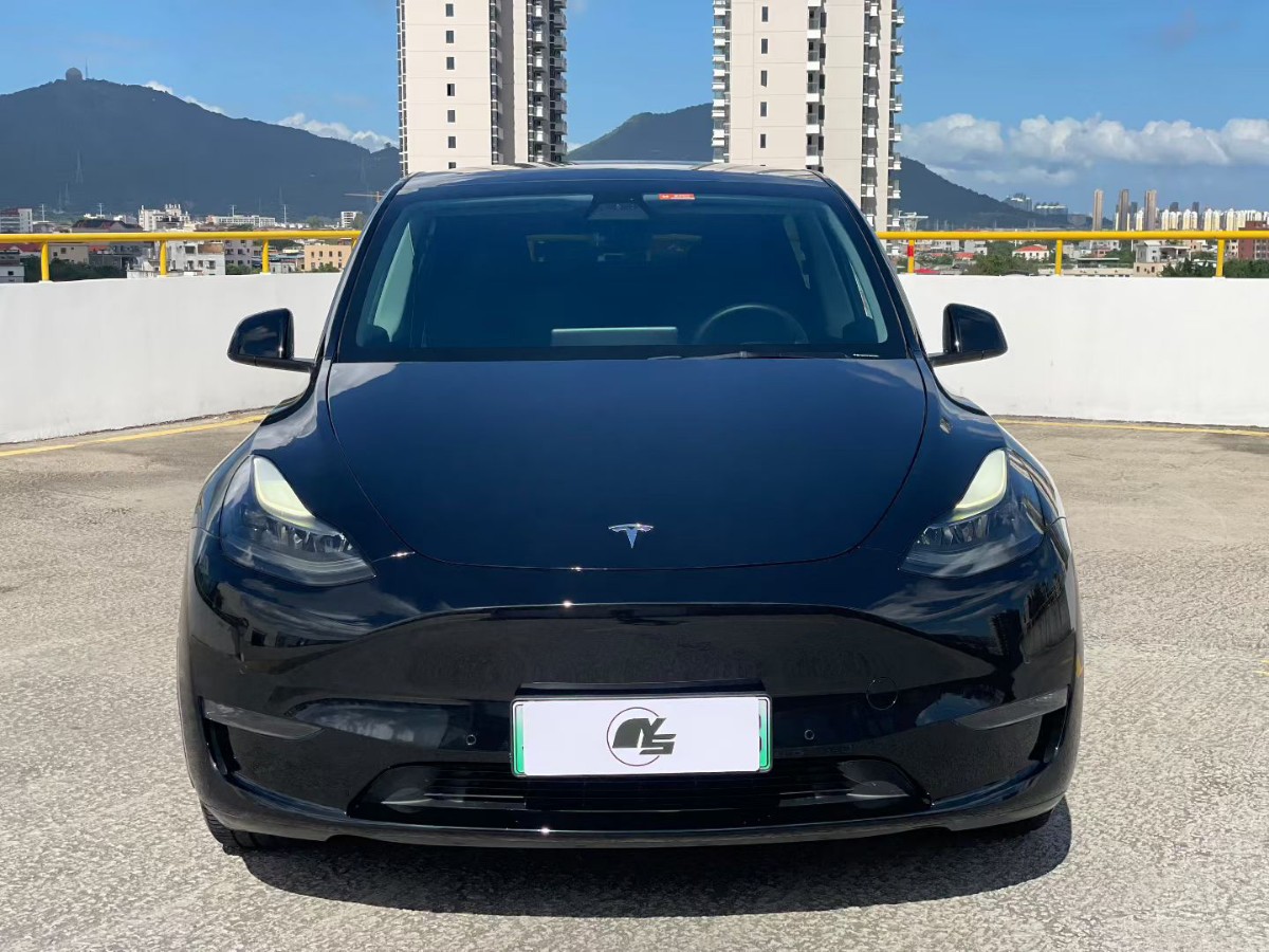 Tesla Model Y 2021 car image #2